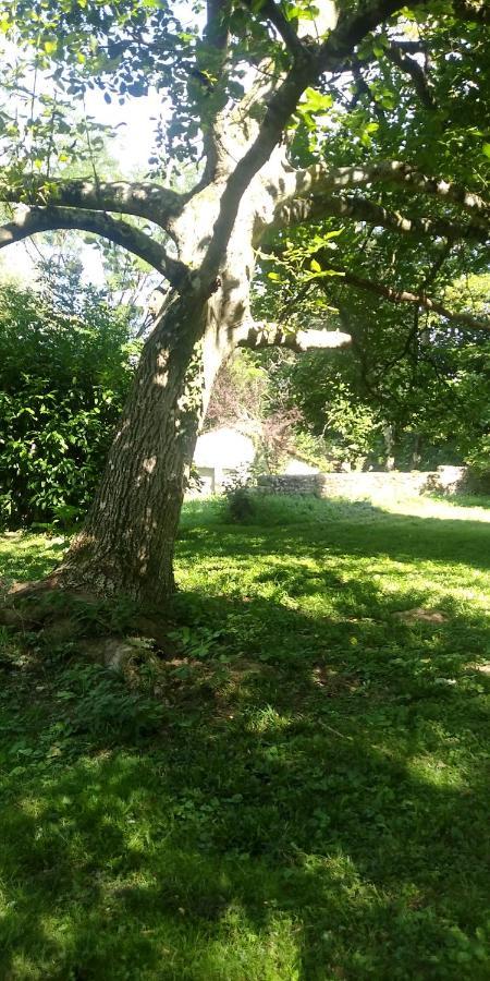 Beautheil-Saints Villa - Coulommiers - Parcs Des Felins - Provins מראה חיצוני תמונה