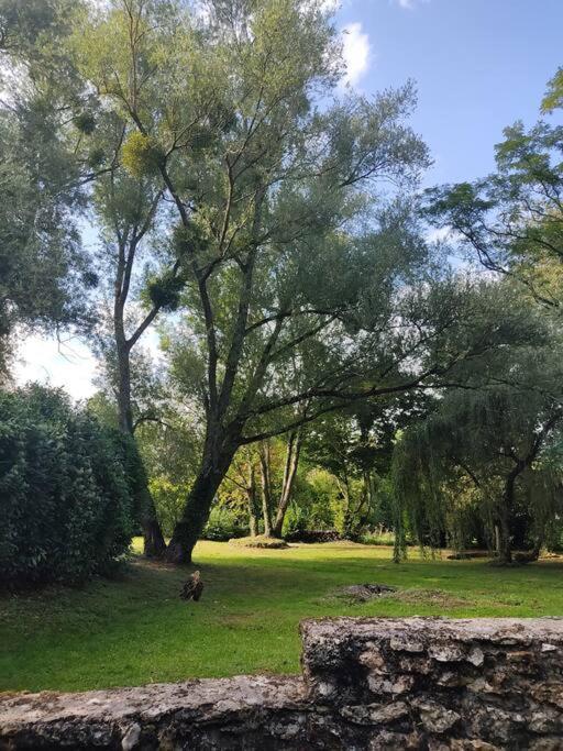 Beautheil-Saints Villa - Coulommiers - Parcs Des Felins - Provins מראה חיצוני תמונה